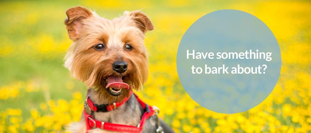 Have something to bark about?